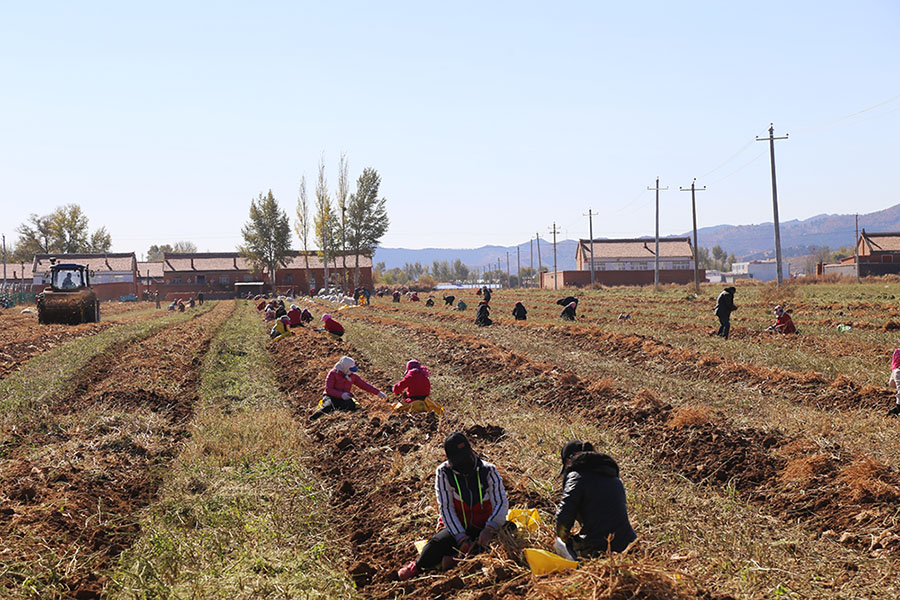 �й���7790�ط�����(�ɷ�)���޹�˾-�ٷ���վ