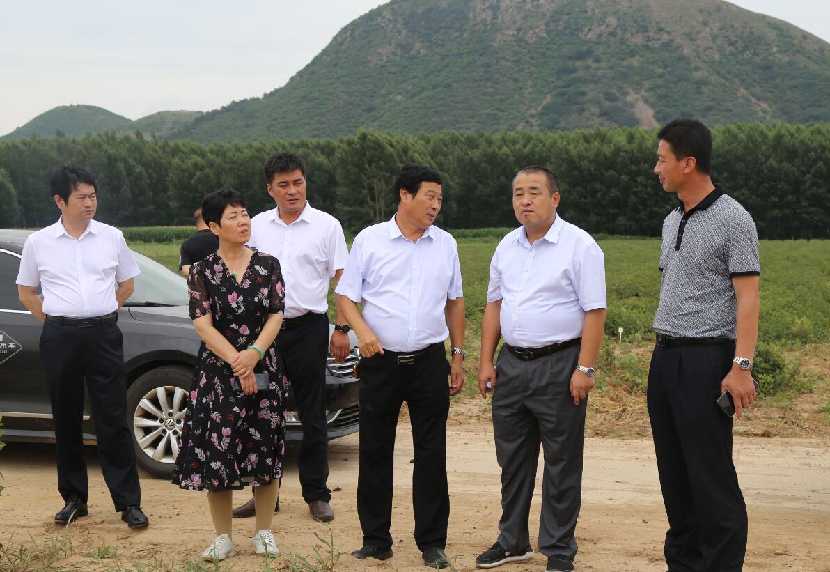 中国·7790必发集团(股份)有限公司-官方网站