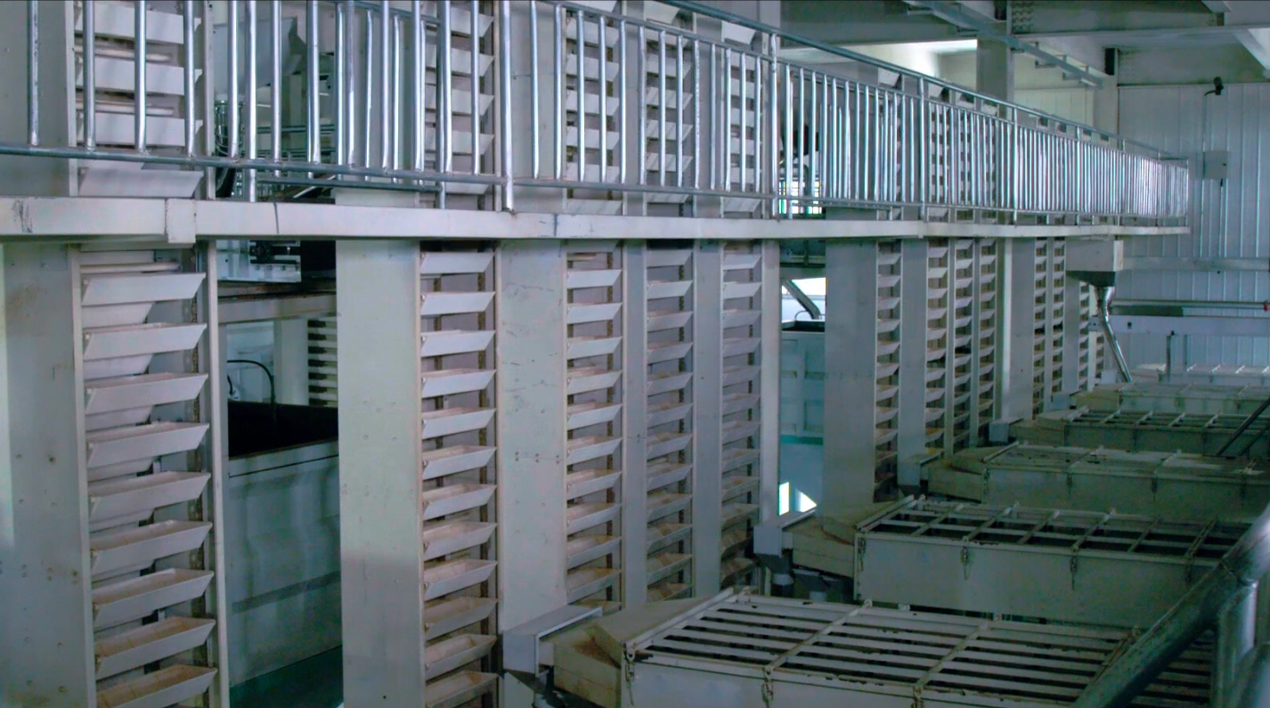 �Ӻ�����