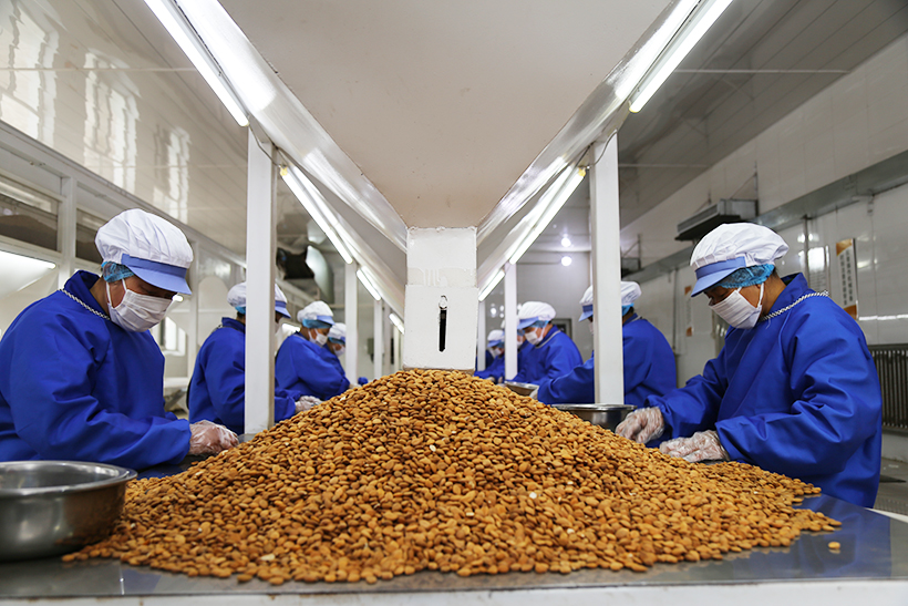 ������ѡ